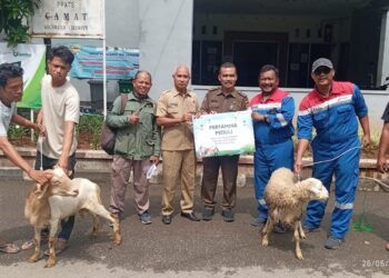 Rayakan Iduladha, Pertagas Salurkan 475 Hewan Kurban ke 300 Titik di Wilayah Operasi Perusahaan