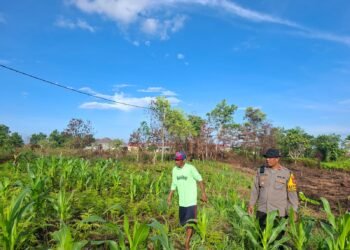 Polres Tarakan Gencarkan Patroli Dialogis Dukung Ketahanan Pangan