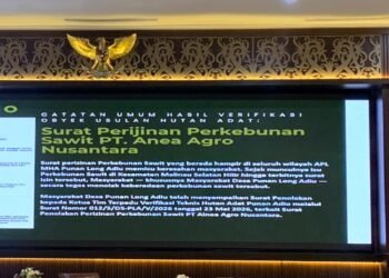 Izin Sawit Masuk Kawasan Usulan Hutan Adat Punan Long Adiu