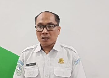 BMKG Akhiri Peringatan Dini Tsunami, Gelombang 30 Sentimeter Terpantau di Pantai Amal