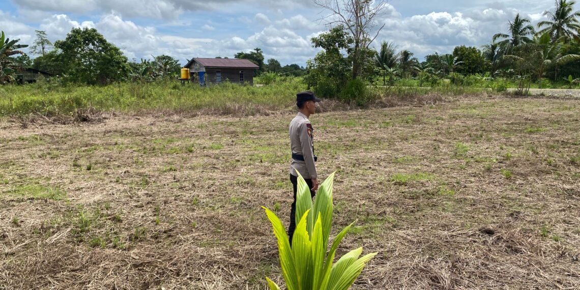 Bhabinkamtibmas Polsek Tanjung Palas Pantau Tanaman Jagung Warga Dukung Ketahanan Pangan
