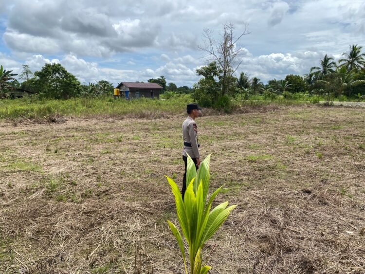 Bhabinkamtibmas Polsek Tanjung Palas Pantau Tanaman Jagung Warga Dukung Ketahanan Pangan