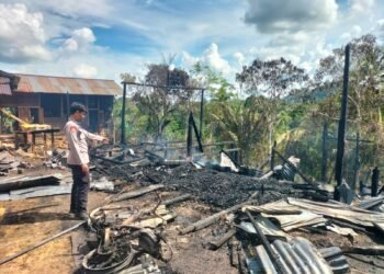 Rumah Kosong di Tanjung Palas Utara Ludes Terbakar, Diduga Korsleting Listrik