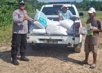 Polsek Tarakan Utara Monitor Pertumbuhan Jagung Binaan Poktani Flora Fauna