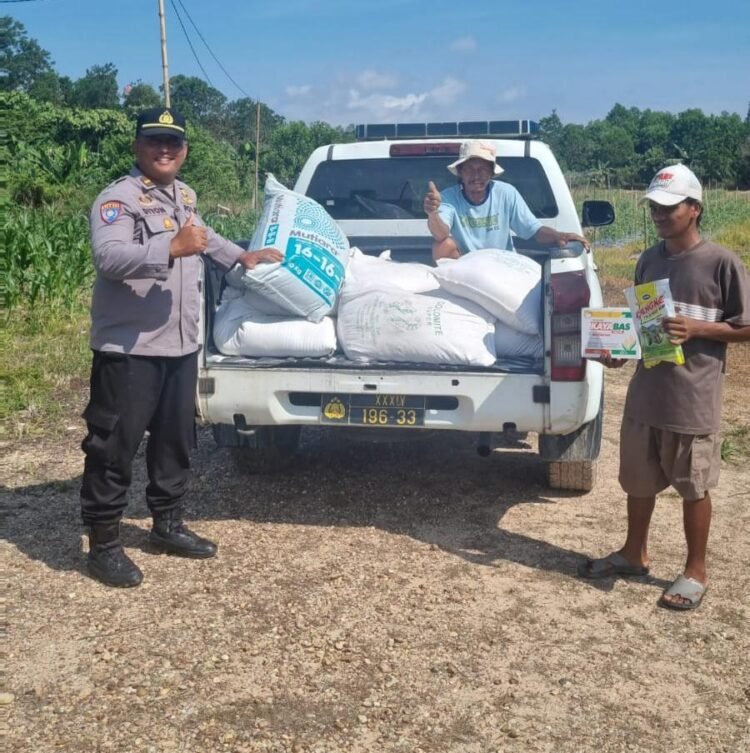 Polsek Tarakan Utara Monitor Pertumbuhan Jagung Binaan Poktani Flora Fauna