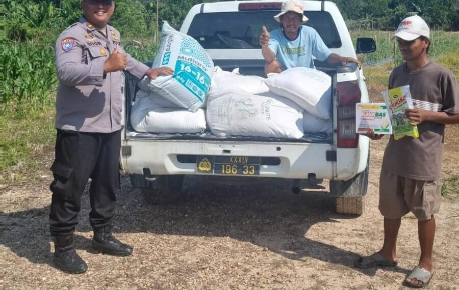 Polsek Tarakan Utara Monitor Pertumbuhan Jagung Binaan Poktani Flora Fauna