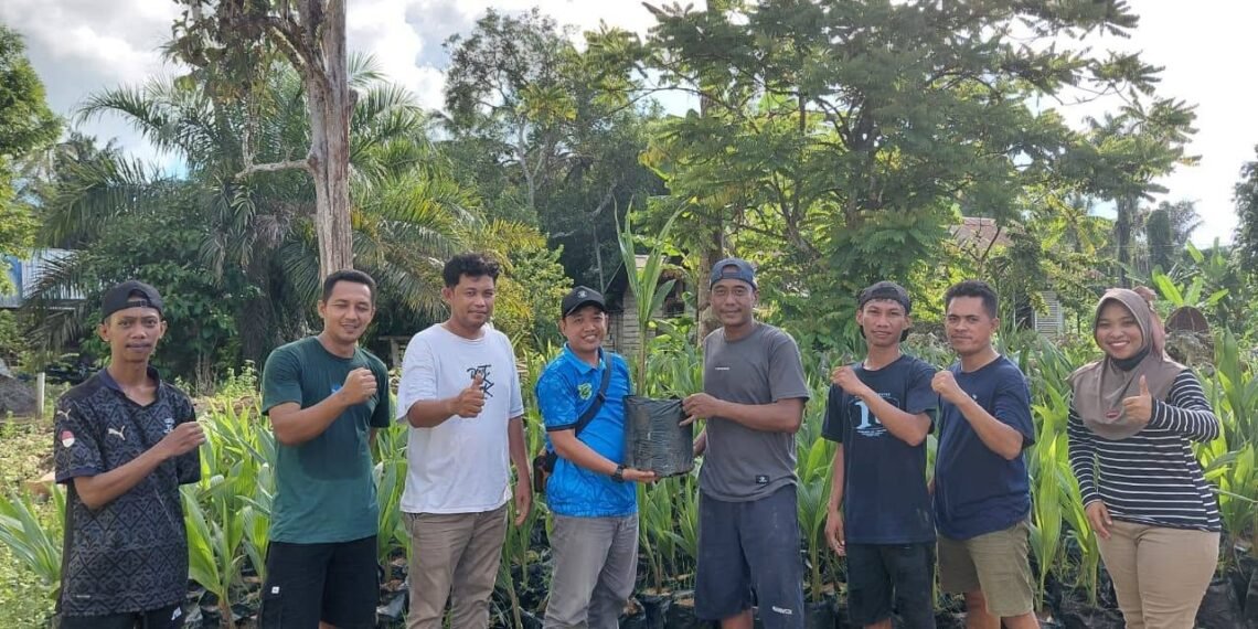 SIGAP Sejahtera Salurkan Bibit Kelapa Genjah Entog di Berau untuk Hilirisasi