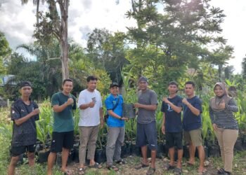SIGAP Sejahtera Salurkan Bibit Kelapa Genjah Entog di Berau untuk Hilirisasi