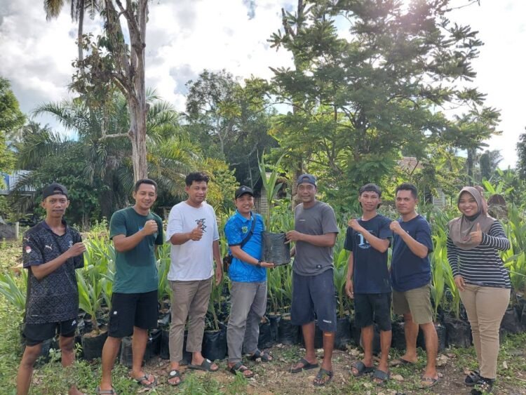 SIGAP Sejahtera Salurkan Bibit Kelapa Genjah Entog di Berau untuk Hilirisasi