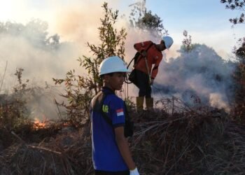 Cuaca Kering Picu Peningkatan Karhutla di Tarakan