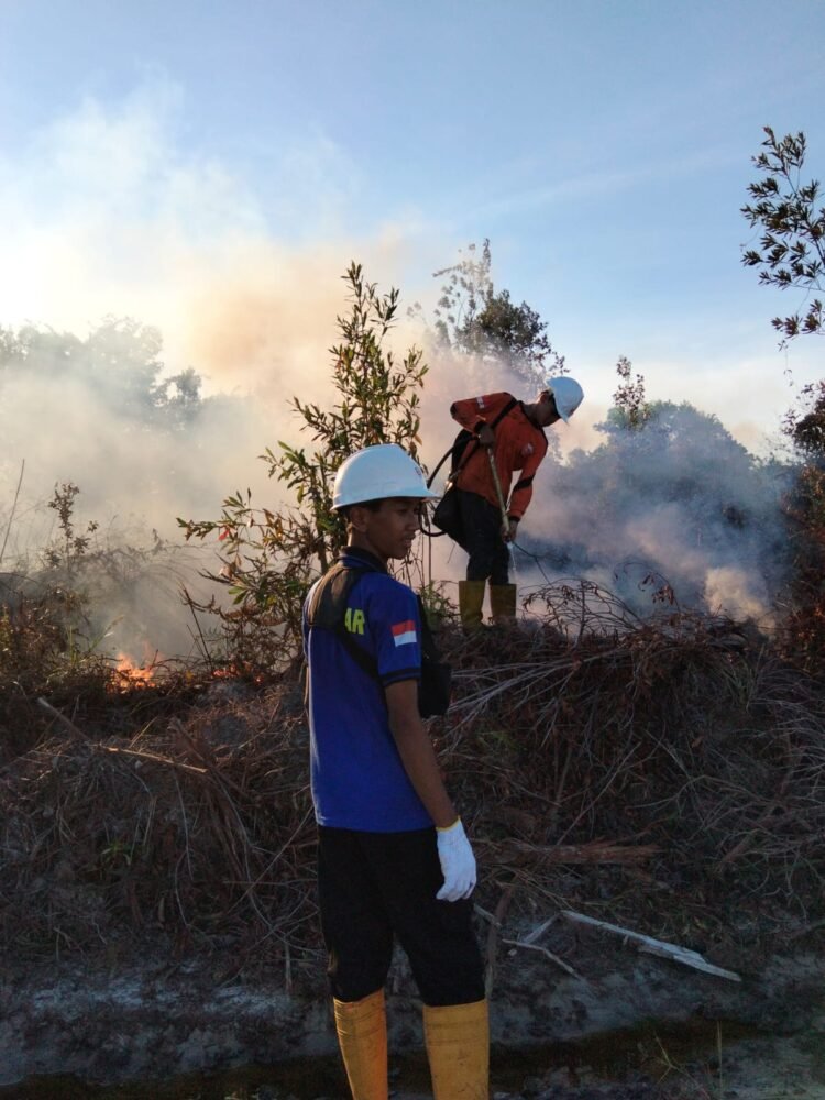 Cuaca Kering Picu Peningkatan Karhutla di Tarakan