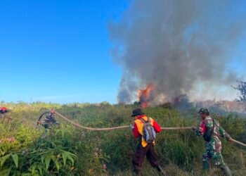 BPBD Catat 24 Hektar Lahan Terbakar di Tarakan, Cuaca Kering Jadi Pemicu