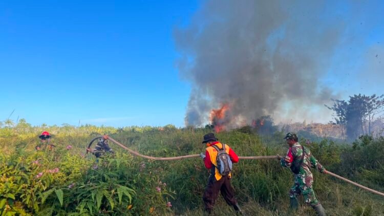 BPBD Catat 24 Hektar Lahan Terbakar di Tarakan, Cuaca Kering Jadi Pemicu