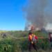 BPBD Catat 24 Hektar Lahan Terbakar di Tarakan, Cuaca Kering Jadi Pemicu