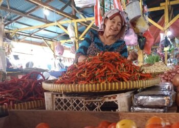 Inflasi Bulanan Tarakan Naik, Cabai Rawit Beri Andil Terbesar
