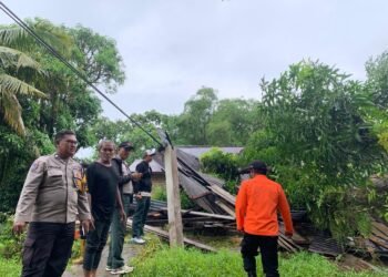 Pohon Mangga Tua Tumbang, Rumah Warga Rusak Berat