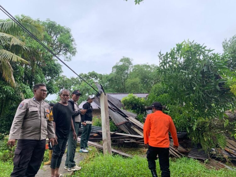 Pohon Mangga Tua Tumbang, Rumah Warga Rusak Berat