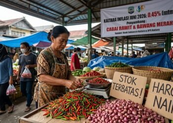 Pasokan Cabai dan Bawang Terbatas, Inflasi Kaltara Juni Capai 0,45 Persen