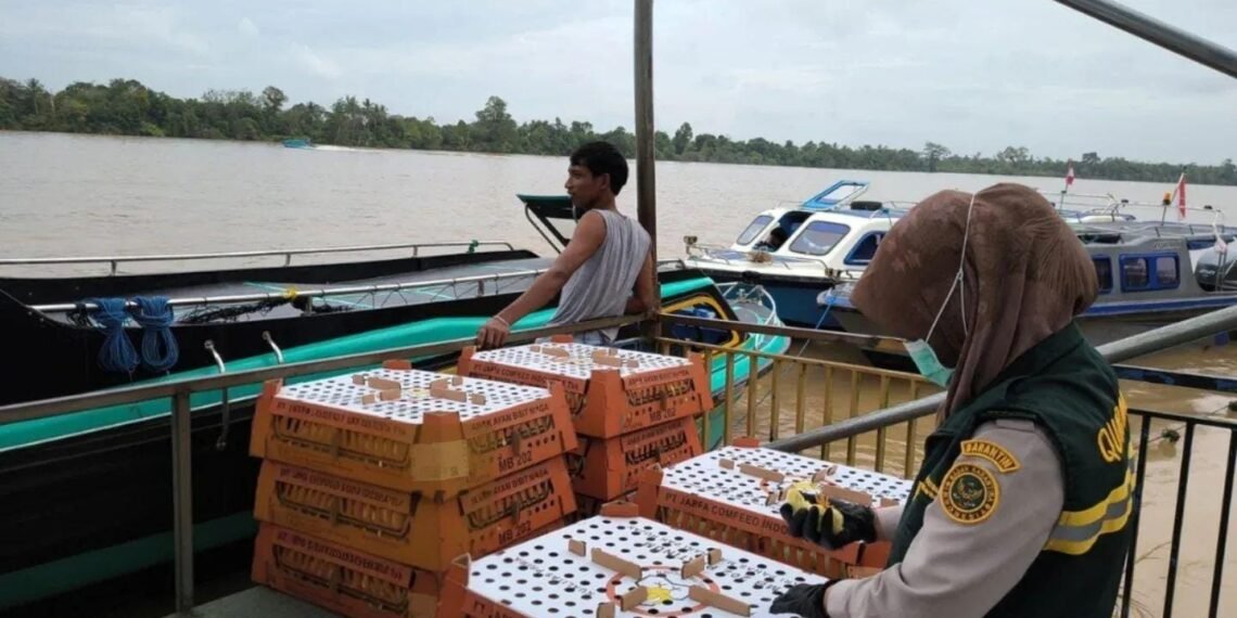 Ukur Kualitas Layanan, BKHIT Kaltara Jalani Penilaian Mandiri IPP