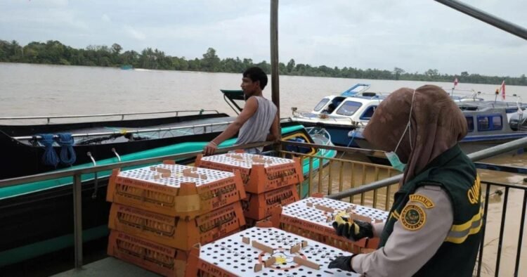 Ukur Kualitas Layanan, BKHIT Kaltara Jalani Penilaian Mandiri IPP