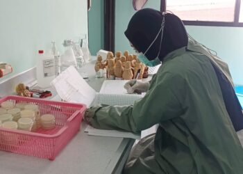 Labkesda Tarakan Rutin Awasi Kualitas Air Minum Isi Ulang dan PDAM