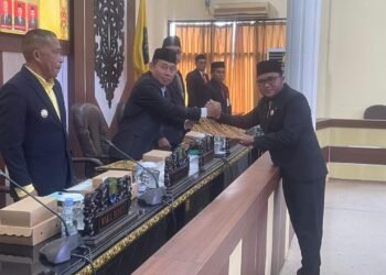 PAN-PPP Dorong Tindak Lanjut Rekomendasi BPK dan Pemerataan Pembangunan