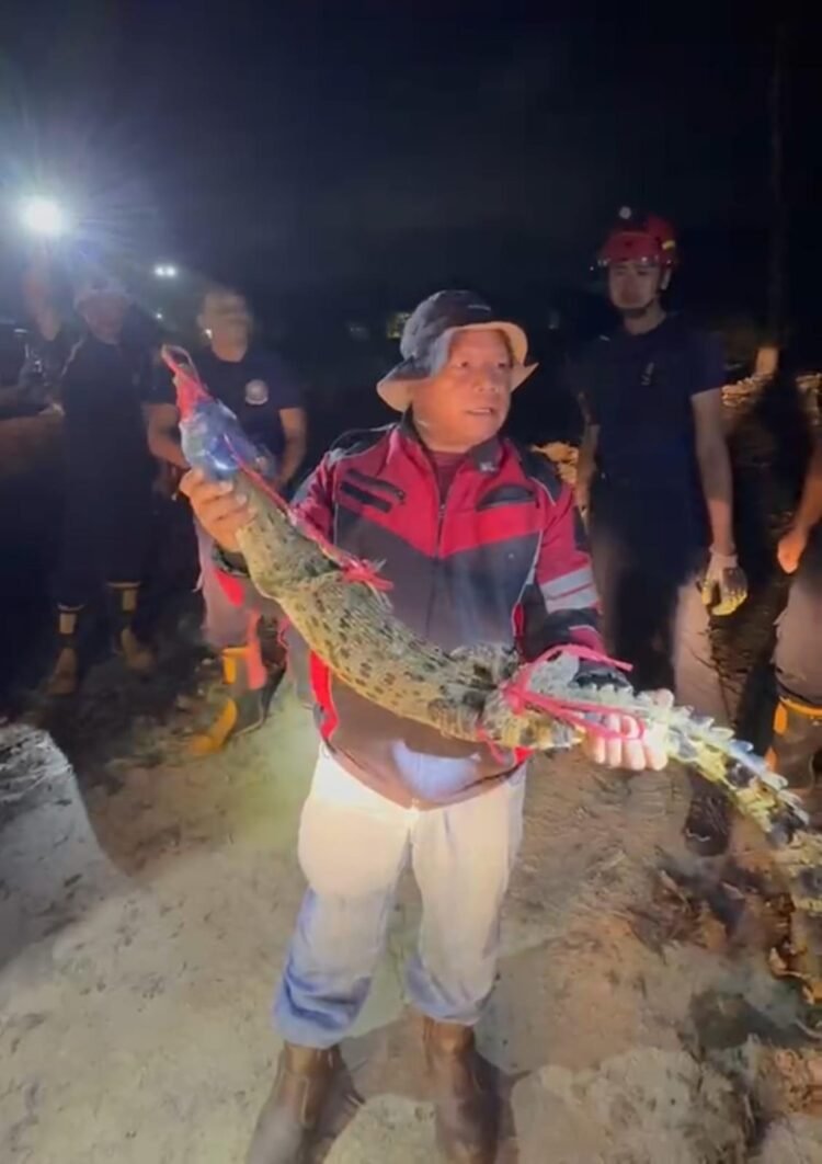 Damkar Tarakan Usulkan APD Khusus, Penanganan Hewan Buas Butuh Perlengkapan Berbeda