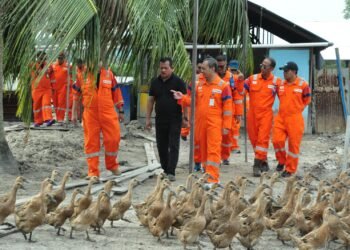 PT Pertamina Hulu Mahakam Manfaatkan Sampah Organik Sisa Makanan Pekerja untuk Pakan Ternak Masyarakat 