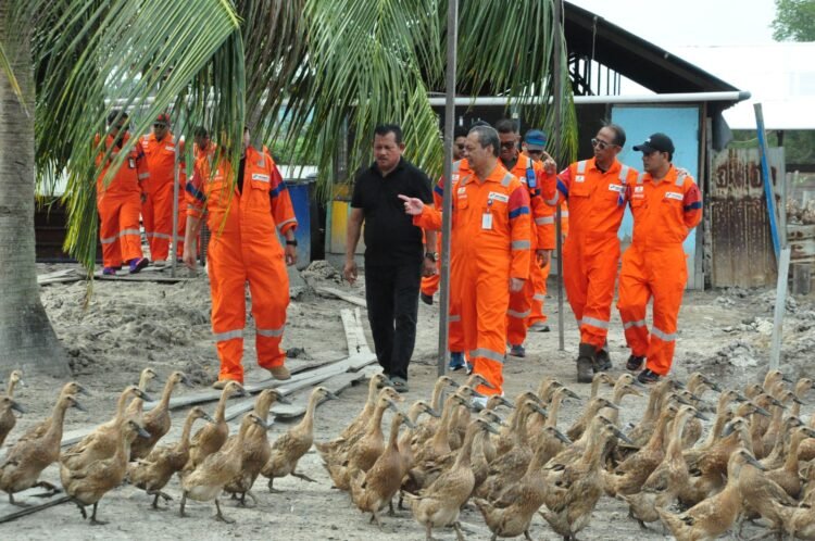 PT Pertamina Hulu Mahakam Manfaatkan Sampah Organik Sisa Makanan Pekerja untuk Pakan Ternak Masyarakat