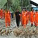 PT Pertamina Hulu Mahakam Manfaatkan Sampah Organik Sisa Makanan Pekerja untuk Pakan Ternak Masyarakat