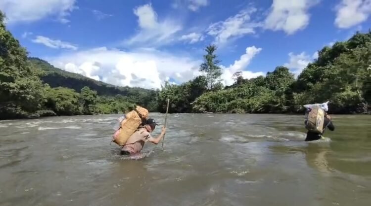 Sensus Ekonomi di Malinau Hadapi Medan Sungai Bergiram dan Jalur Hutan