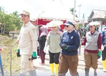 Tana Tidung Uji Metode Tanam Benih Langsung di Lahan Pertanian Sengkong
