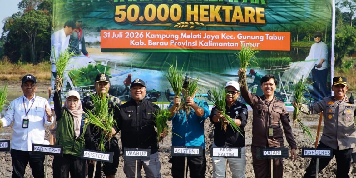 Kejar Swasembada Pangan, Berau Maksimalkan Oplah dan Cetak Sawah