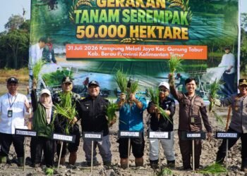 Kejar Swasembada Pangan, Berau Maksimalkan Oplah dan Cetak Sawah