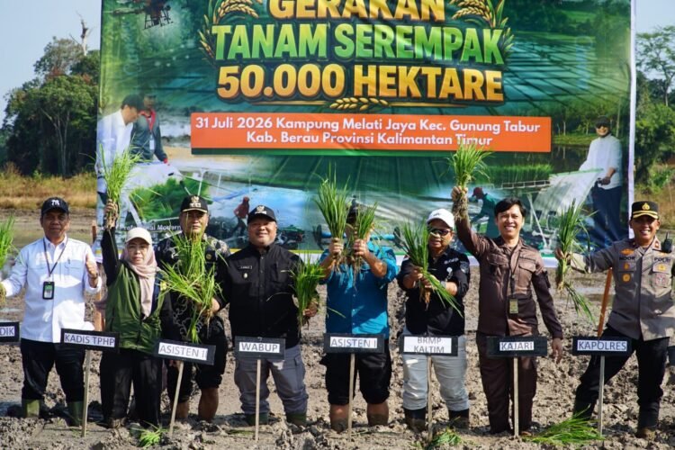 Kejar Swasembada Pangan, Berau Maksimalkan Oplah dan Cetak Sawah