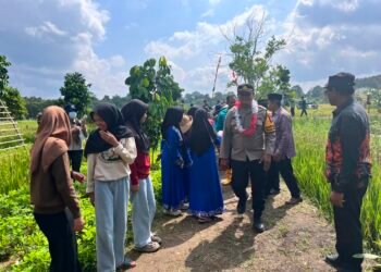 Panen Raya di Mara Hilir, Kapolsek Tanjung Palas Barat Tegaskan Dukungan Polri untuk Ketahanan Pangan