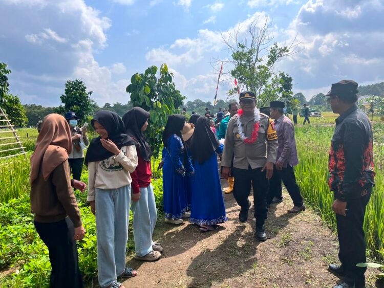 Panen Raya di Mara Hilir, Kapolsek Tanjung Palas Barat Tegaskan Dukungan Polri untuk Ketahanan Pangan