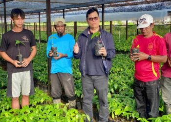 Tindak Lanjuti Program Kementan, Hasan Basri Tinjau Penyemaian 1 Juta Bibit Kakao Gratis untuk Petani Kaltara