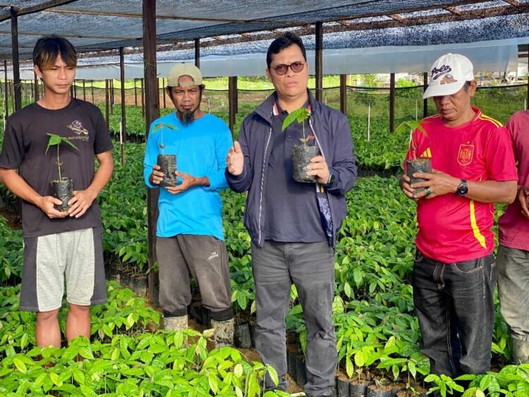 Tindak Lanjuti Program Kementan, Hasan Basri Tinjau Penyemaian 1 Juta Bibit Kakao Gratis untuk Petani Kaltara
