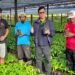 Tindak Lanjuti Program Kementan, Hasan Basri Tinjau Penyemaian 1 Juta Bibit Kakao Gratis untuk Petani Kaltara