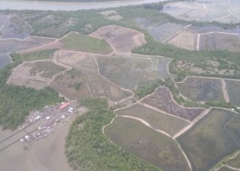 BPPMHKP Sebut Tambak Kaltara Masih Alami dan Berpotensi Besar