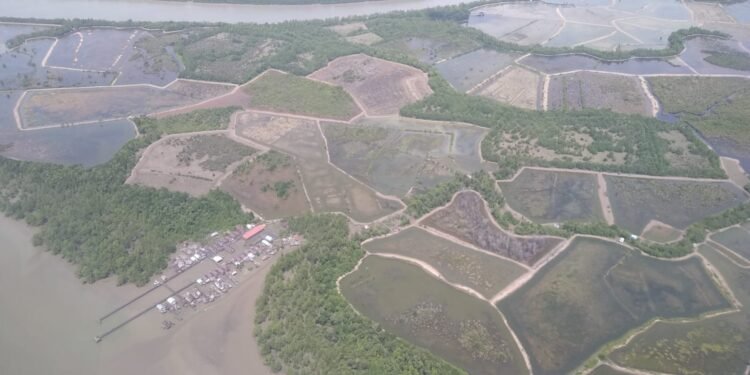 BPPMHKP Sebut Tambak Kaltara Masih Alami dan Berpotensi Besar