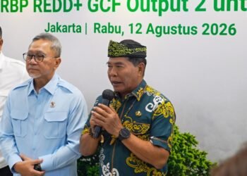 Kaltara Terima Rp41,5 Miliar, Gubernur Fokuskan untuk Rehabilitasi Hutan
