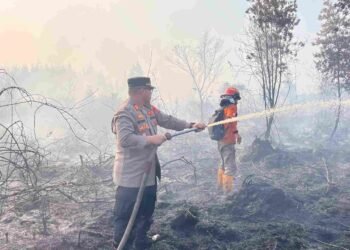 Kebakaran Lahan Tarakan Capai 16 Hektare, BPBD Tarakan Tetapkan Siaga Darurat Kering