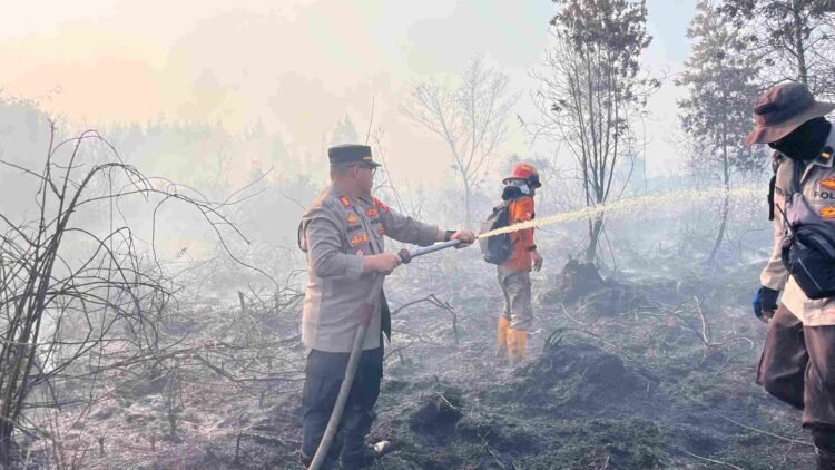 Kebakaran Lahan Tarakan Capai 16 Hektare, BPBD Tarakan Tetapkan Siaga Darurat Kering