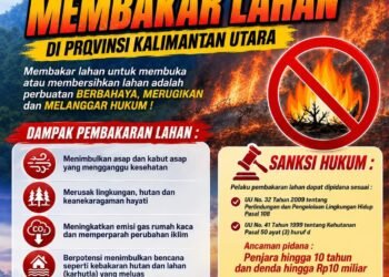 BPBD Perkuat Kesiapsiagaan Karhutla, Wilayah Rawan Mulai Dipetakan