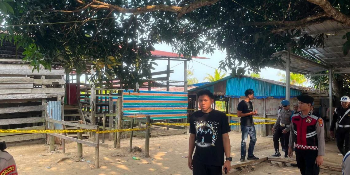 Sabung Ayam Viral di Medsos, Polisi Segel Lokasi Binalatung dan Juata Laut