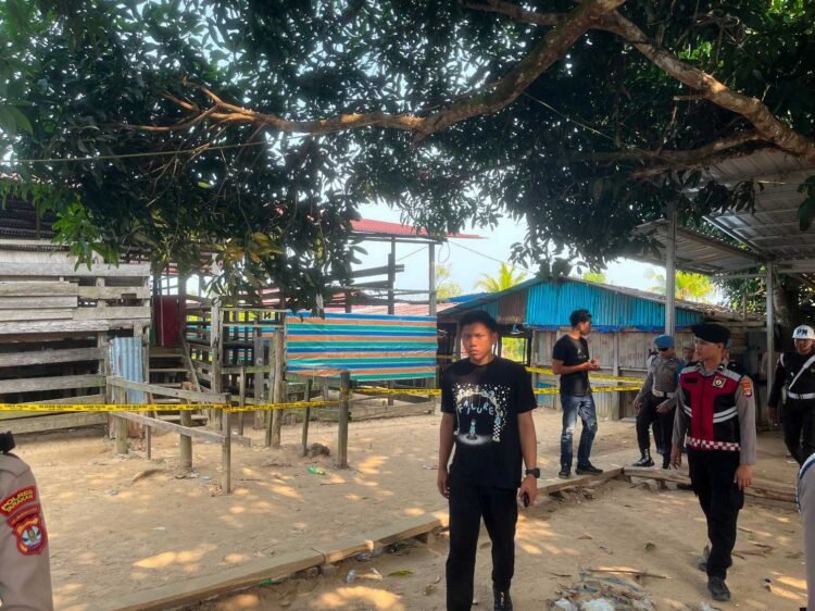 Sabung Ayam Viral di Medsos, Polisi Segel Lokasi Binalatung dan Juata Laut