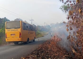 BPBD Temukan Empat Titik Indikasi Batubara Terbakar di Tarakan