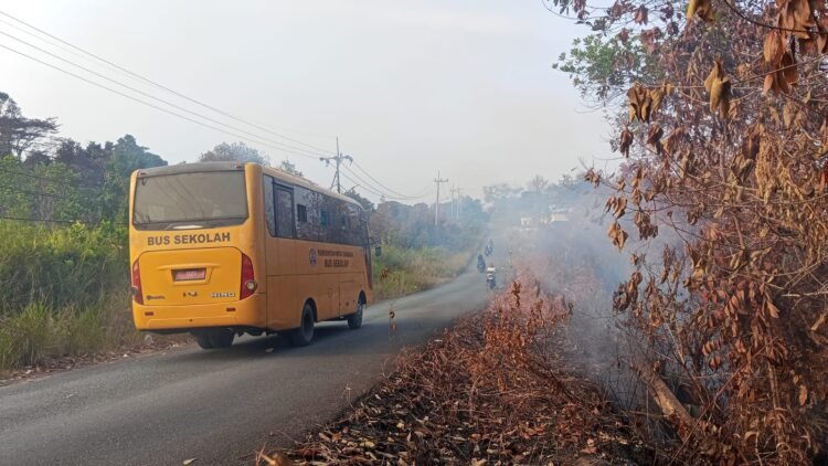 BPBD Temukan Empat Titik Indikasi Batubara Terbakar di Tarakan